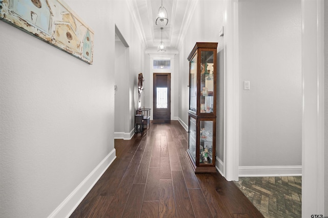 hallway featuring ornamental molding and dark hardwood / wood-style flooring