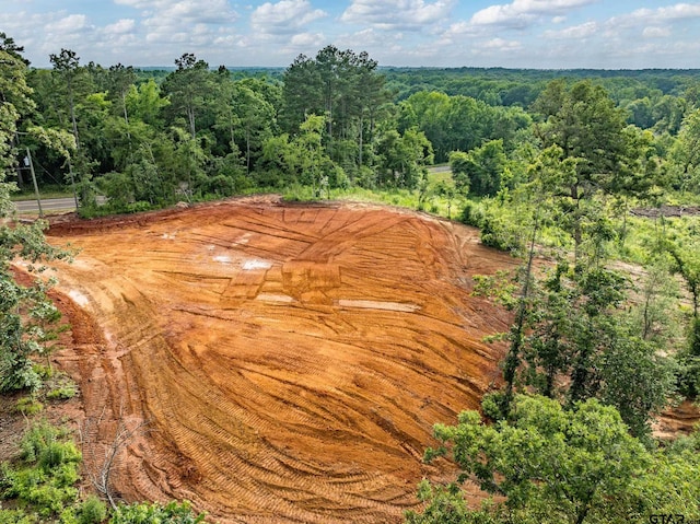 4920 Fm 724, Tyler, TX 75704 - photo 3