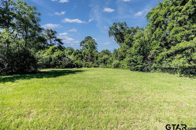 1017 Hilltop Dr, Palestine, TX 75801 - view of yard