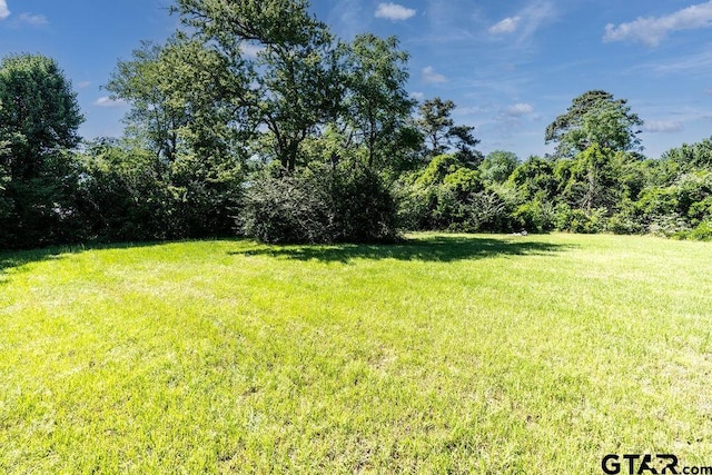 1017 Hilltop Dr, Palestine, TX 75801 - view of yard