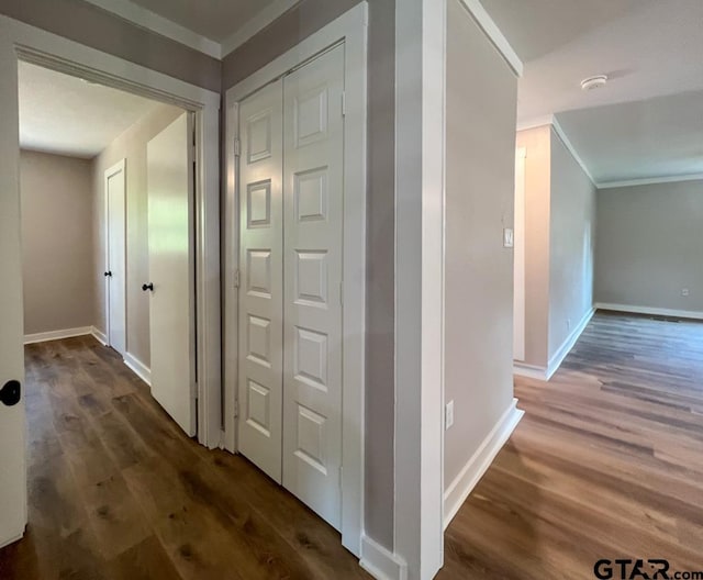 corridor featuring crown molding and dark hardwood / wood-style flooring