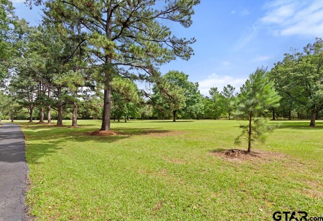 4930 W Twin Lakes Dr, Tyler, TX 75704 - photo 48