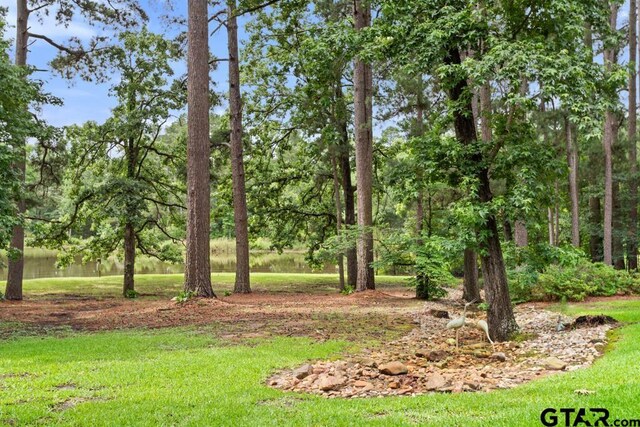 4930 W Twin Lakes Dr, Tyler, TX 75704 - photo 44