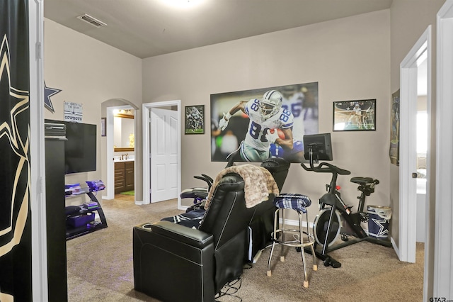 exercise area featuring light colored carpet and sink