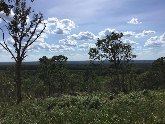 TBD Cr 1816, Jacksonville, TX 75766 - photo 13