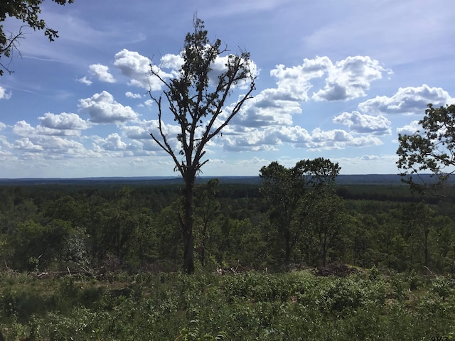 TBD Cr 1816, Jacksonville, TX 75766 - photo 11