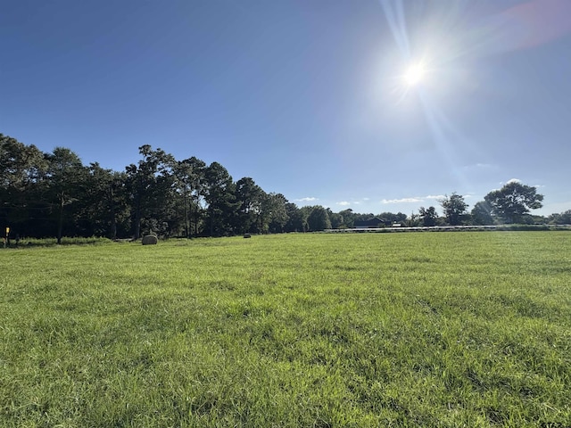CR1203 Central Rd, Daingerfield, TX 75638 - photo 9