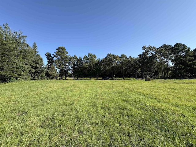 CR1203 Central Rd, Daingerfield, TX 75638 - photo 10