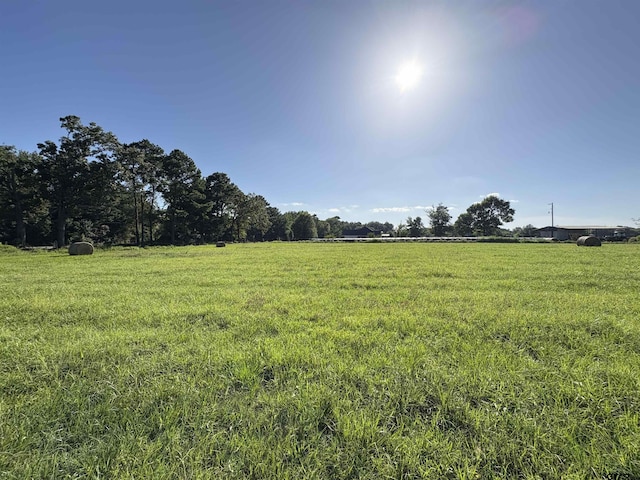 CR1203 Central Rd, Daingerfield, TX 75638 - photo 6