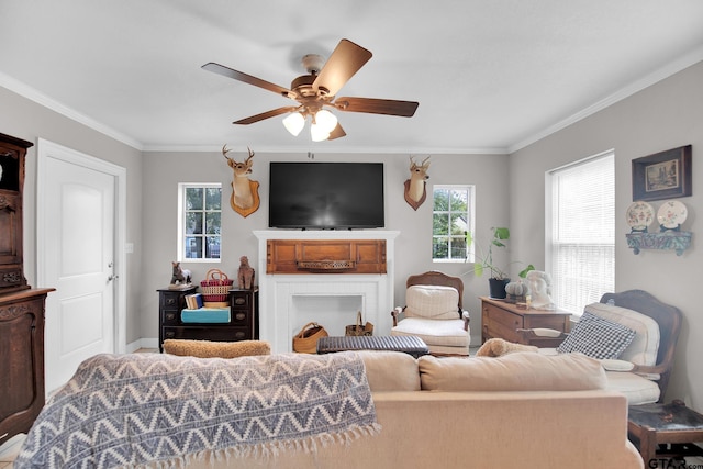 living room with ceiling fan and ornamental molding