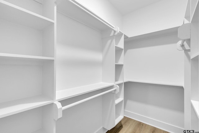 spacious closet with hardwood / wood-style flooring