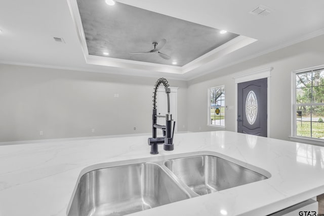 details with a raised ceiling, crown molding, sink, and light stone counters