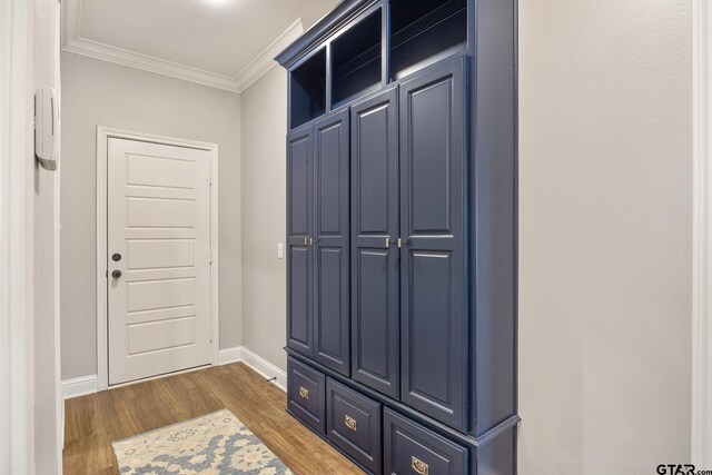 mudroom featuring dark wood-type flooring and crown molding