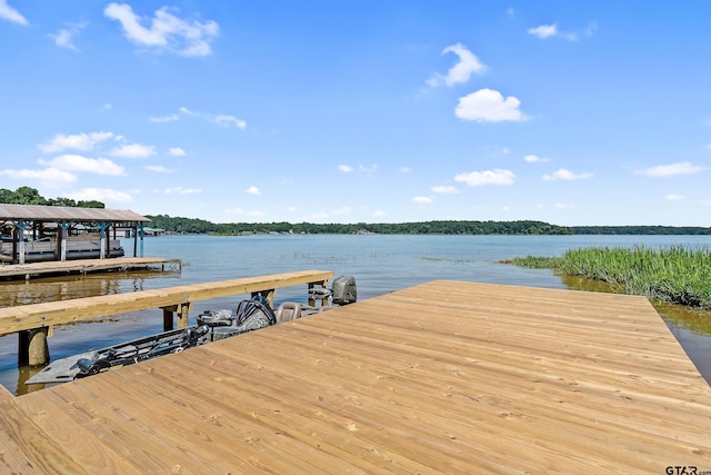 dock area with a water view