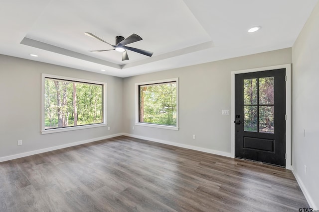 foyer entrance with dark hardwood / wood-style flooring, a raised ceiling, and a wealth of natural light