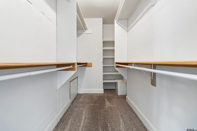 spacious closet with dark carpet