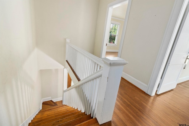 staircase featuring hardwood / wood-style flooring