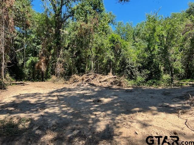 TBDCR3322 Fm 1519, Pittsburg, TX 75686 - photo 4