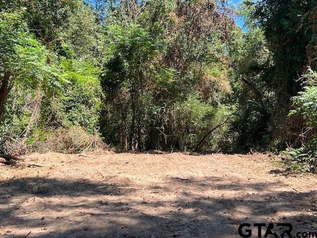 TBDCR3322 Fm 1519, Pittsburg, TX 75686