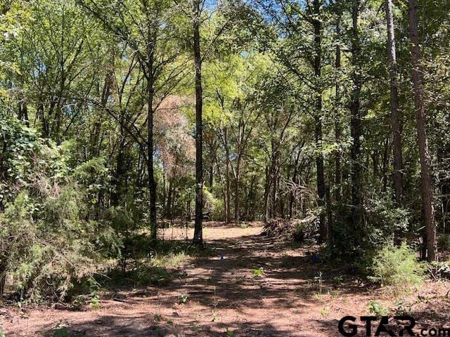 TBDCR3322 Fm 1519, Pittsburg, TX 75686