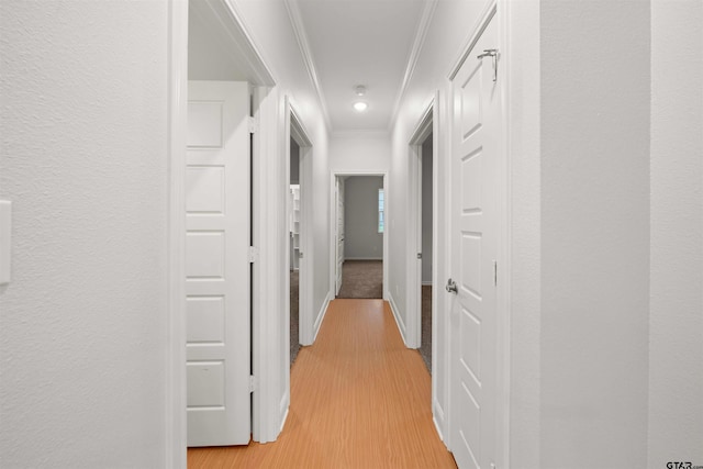 113 Hay Mdw, Winona, TX 75792 - hallway featuring crown molding, light wood-style floors, and baseboards