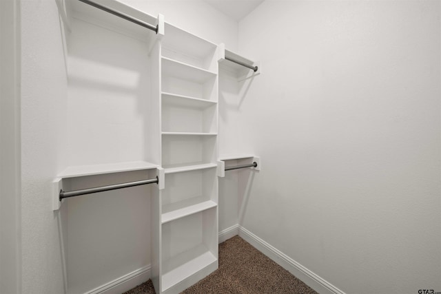 113 Hay Mdw, Winona, TX 75792 - spacious closet with dark carpet