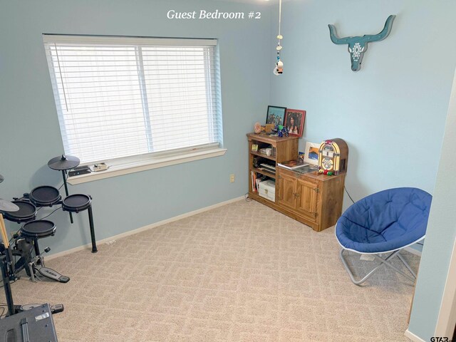 237 Oregon St, Van, TX 75790 - living area featuring carpet flooring