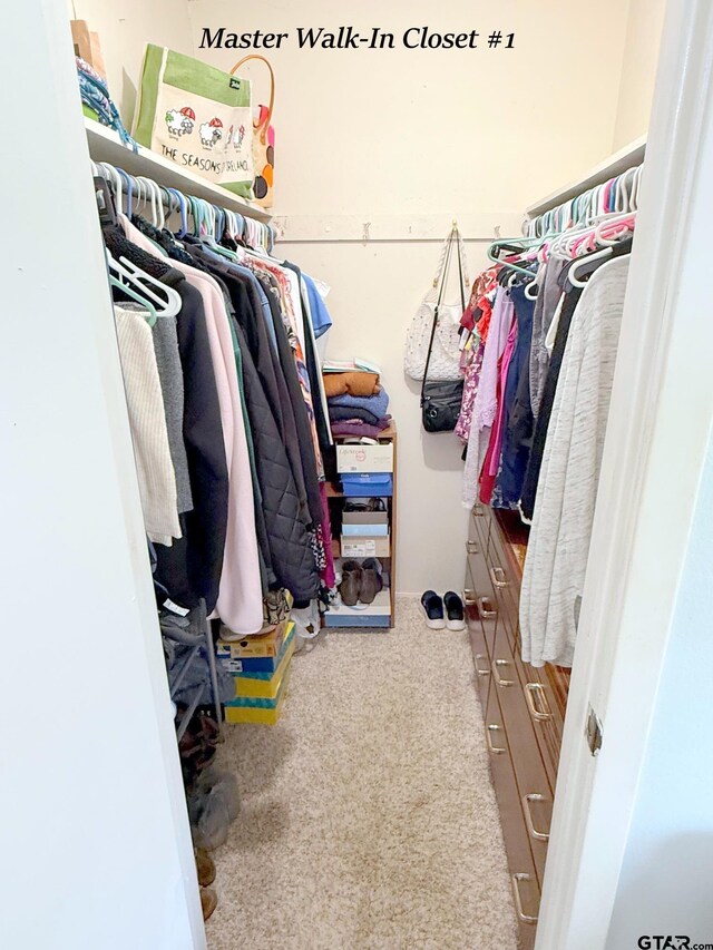 237 Oregon St, Van, TX 75790 - spacious closet with carpet