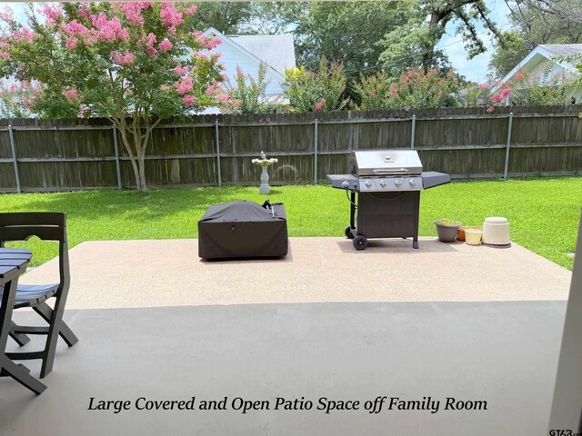 237 Oregon St, Van, TX 75790 - view of patio / terrace featuring a grill