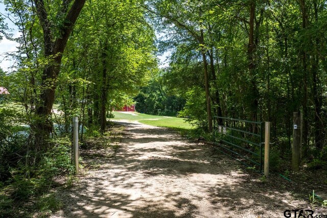 15200 W US Highway 175, Eustace, TX 75124 - view of dirt / gravel road with a gated entry