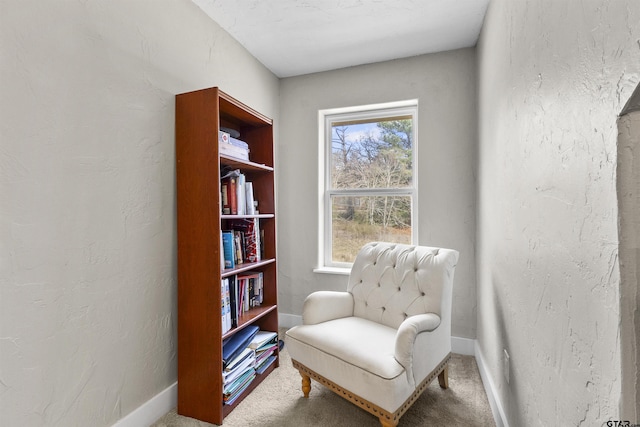 living area with carpet