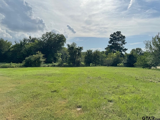 1743 Tan Oak Rd, Big Sandy, TX 75755 - photo 36
