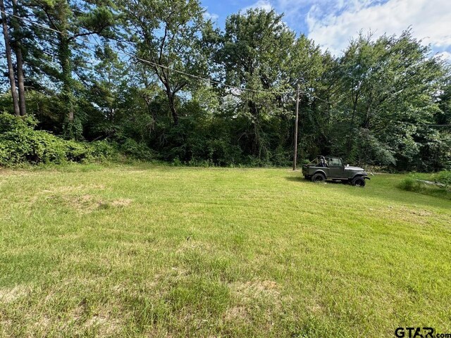 1743 Tan Oak Rd, Big Sandy, TX 75755 - photo 32