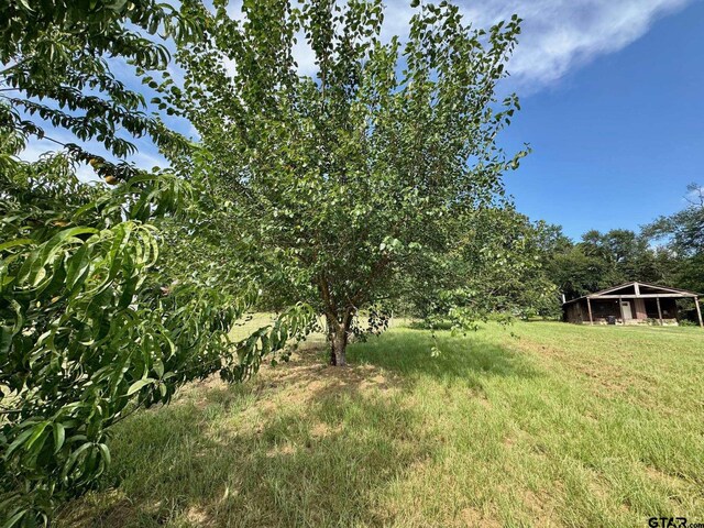 1743 Tan Oak Rd, Big Sandy, TX 75755 - photo 27