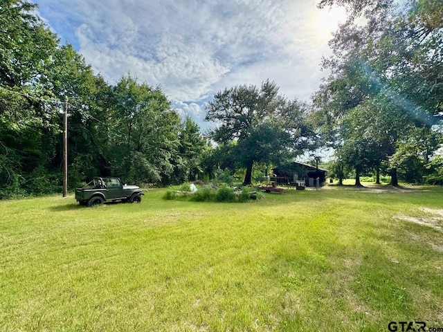 1743 Tan Oak Rd, Big Sandy, TX 75755 - photo 34