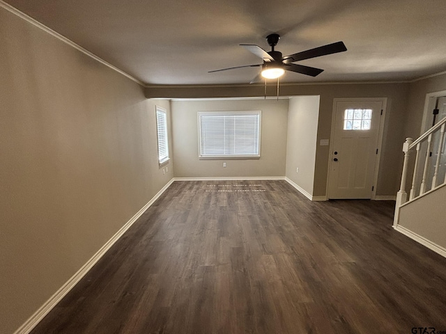 foyer with crown molding, plenty of natural light, dark wood-type flooring, and ceiling fan