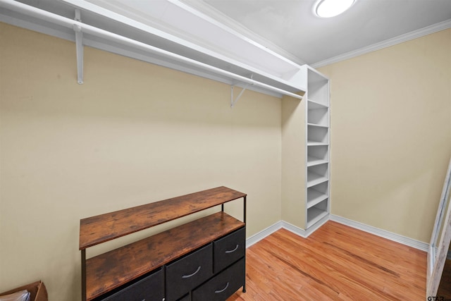 spacious closet featuring hardwood / wood-style floors