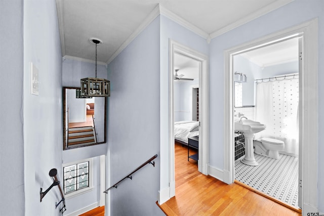 corridor featuring sink, hardwood / wood-style flooring, and crown molding