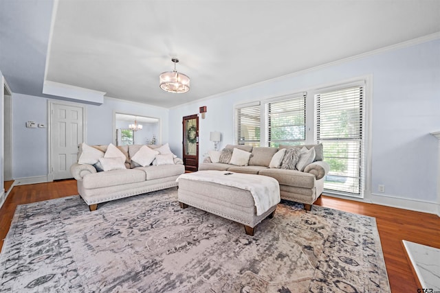 living room featuring wood-type flooring, an inviting chandelier, and crown molding