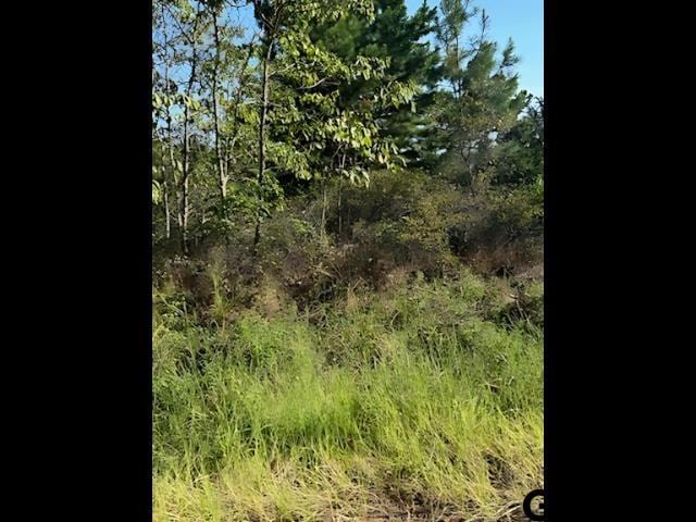 LOT88 Old Villages Way, Flint TX, 75762 land for sale