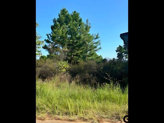 Listing photo 2 for LOT88 Old Villages Way, Flint TX 75762