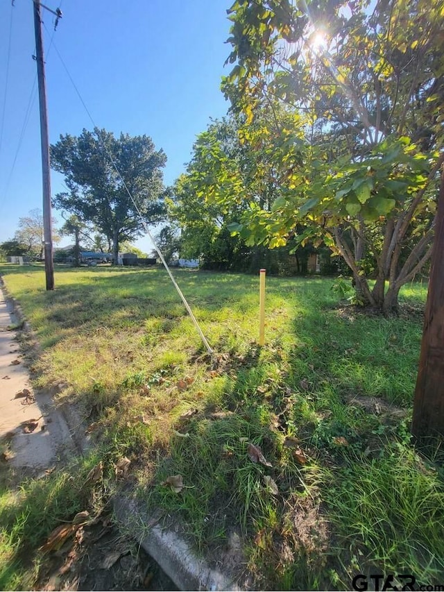 3210 Walton Rd, Tyler, TX 75701 - photo 3