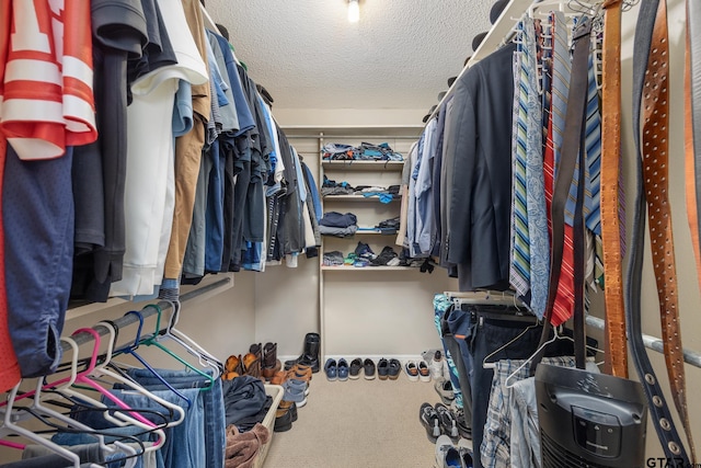walk in closet with carpet