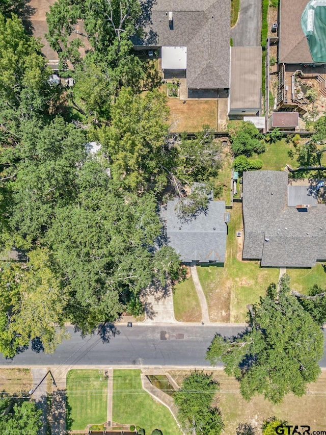 bird's eye view