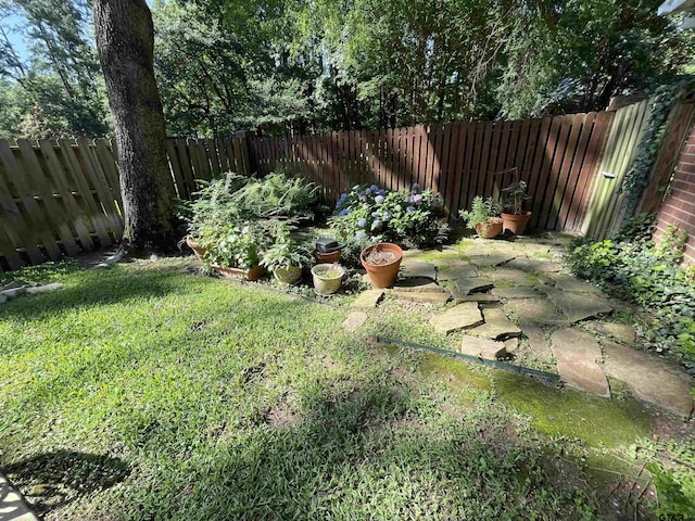 3617 Flagstone Dr, Tyler, TX 75707 - view of yard