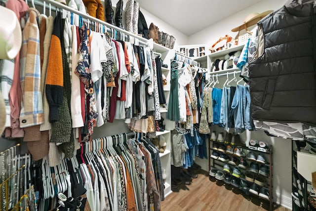 walk in closet featuring wood finished floors