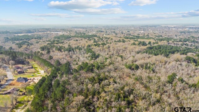 4141 Brazos Blvd, Tyler, TX 75702 - photo 6