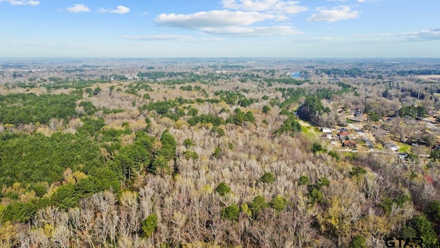 4141 Brazos Blvd, Tyler, TX 75702 - photo 3