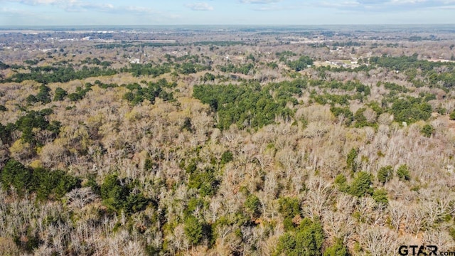 4141 Brazos Blvd, Tyler, TX 75702 - photo 9