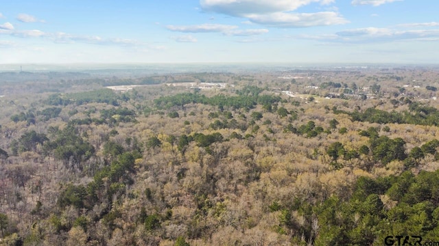 4141 Brazos Blvd, Tyler, TX 75702 - photo 8
